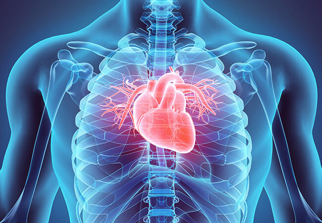 循環器内科・ペースメーカー外来