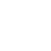 エコー検査（心血管・腹部）